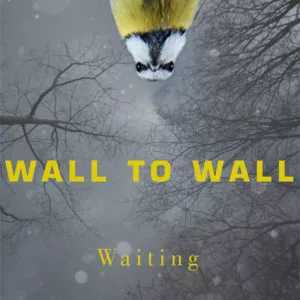 Waiting - Wall To Wall
