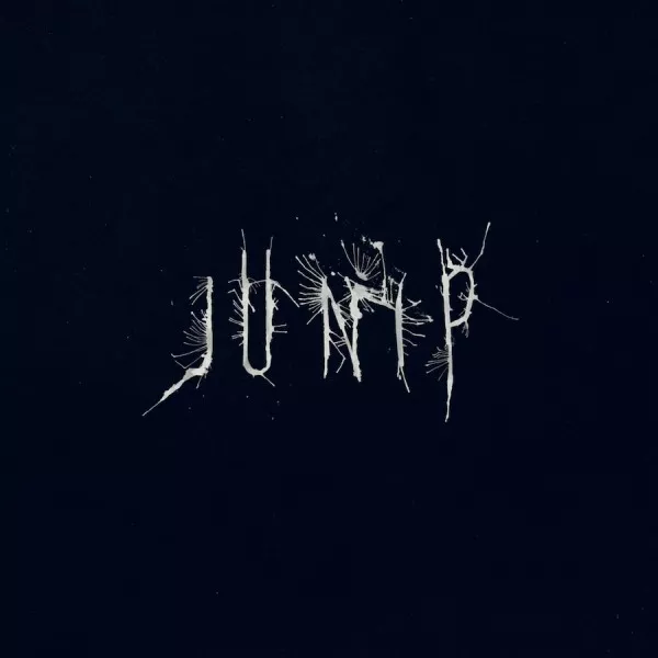 LÅTPREMIÄR: Junip − Your Life, Your Call