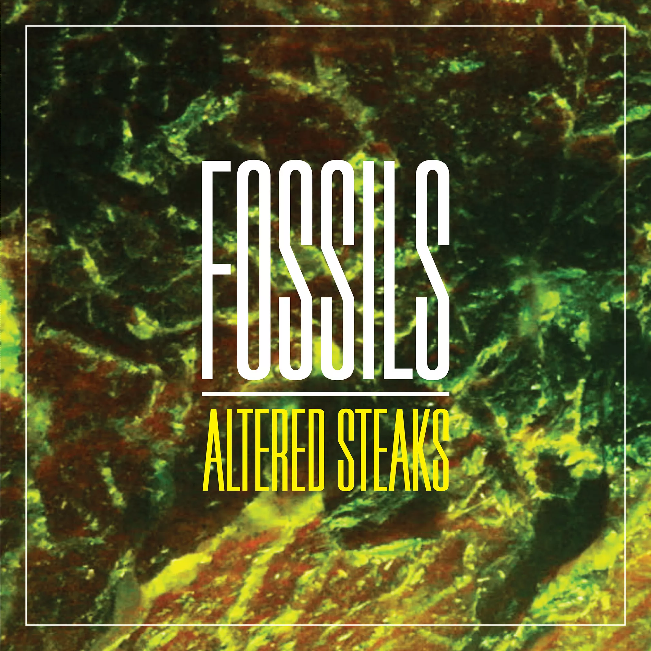Altered Steaks - Fossils