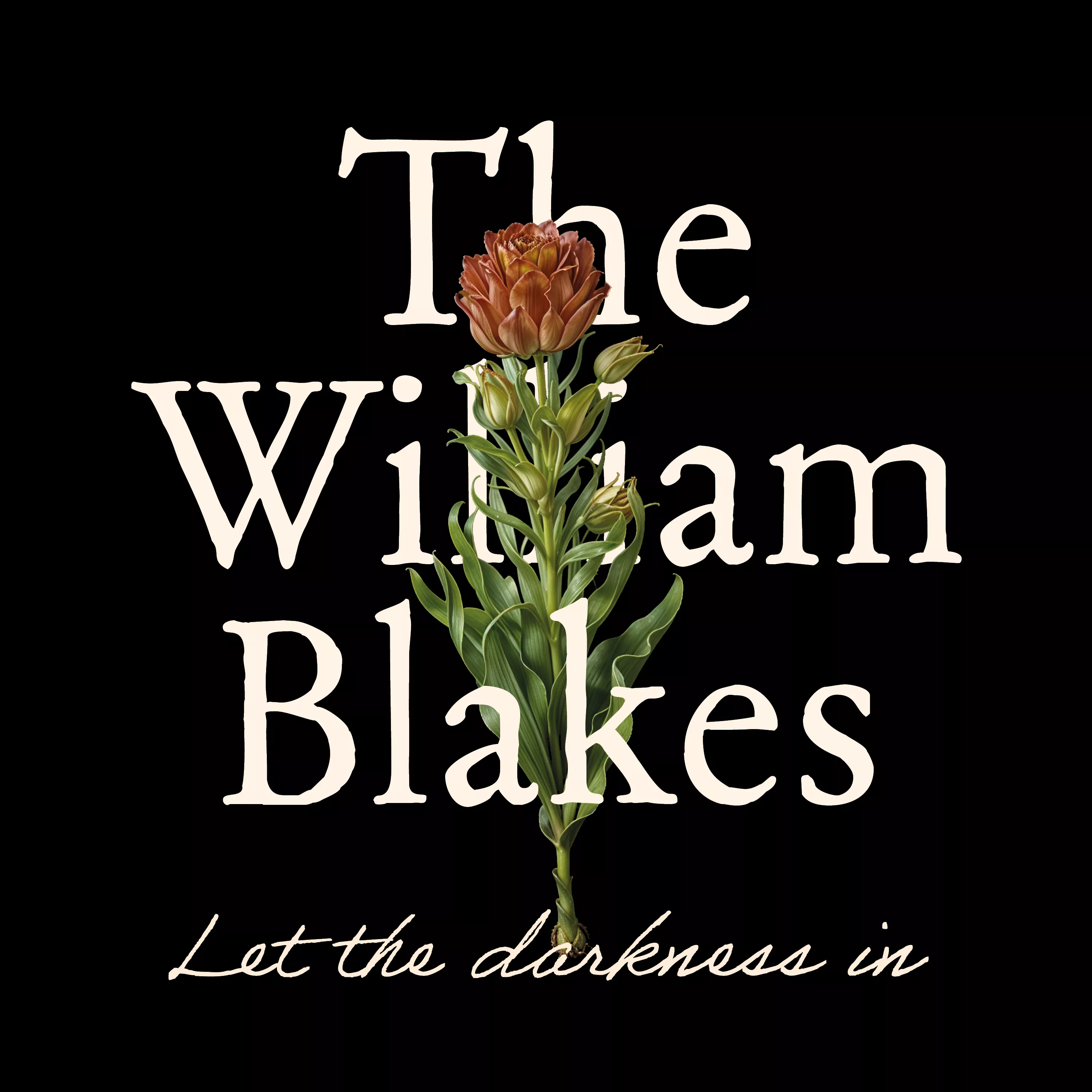 Let The Darkness In - The William Blakes