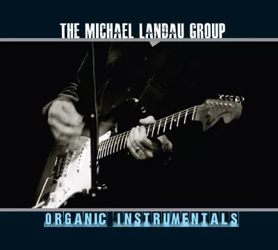 Organic Instrumentals - The Michael Landau Group