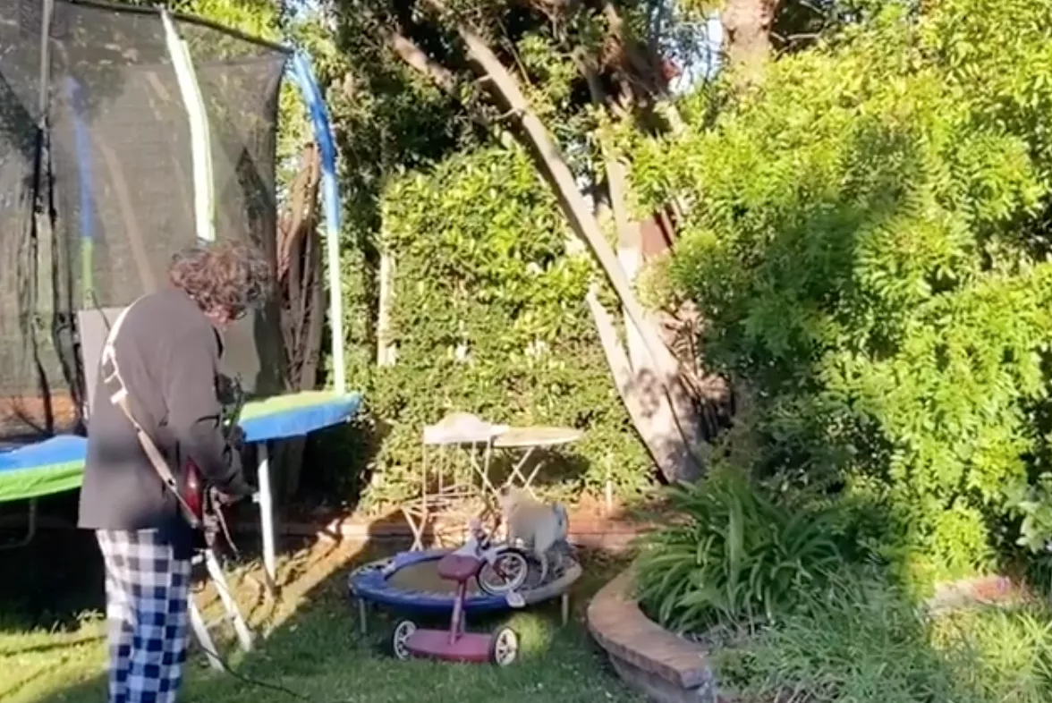 Toto-stjerne blev træt af naboens havearbejde – så greb han sin guitar 