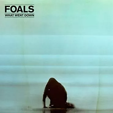 What Went Down - Foals