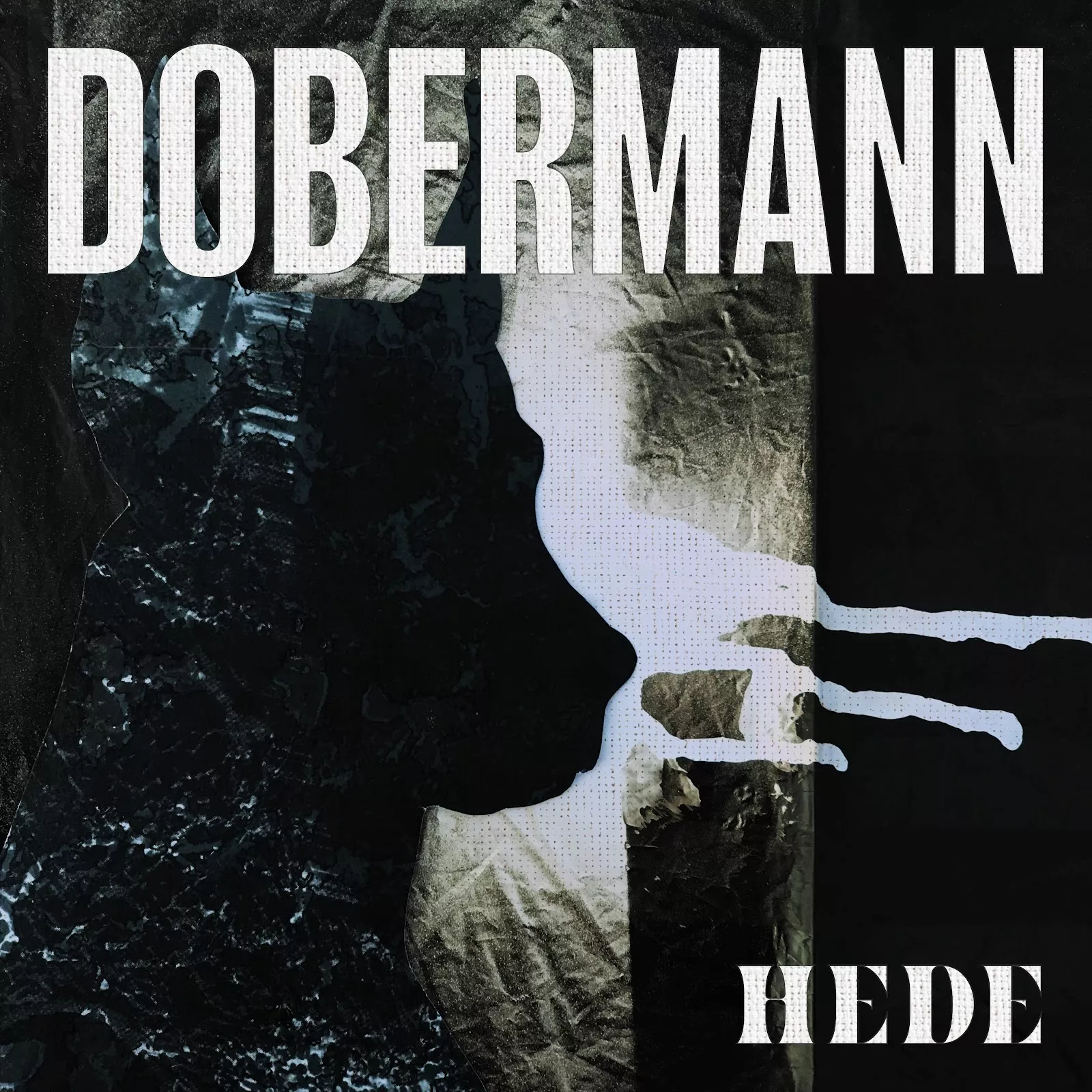 Dobermann - Hede