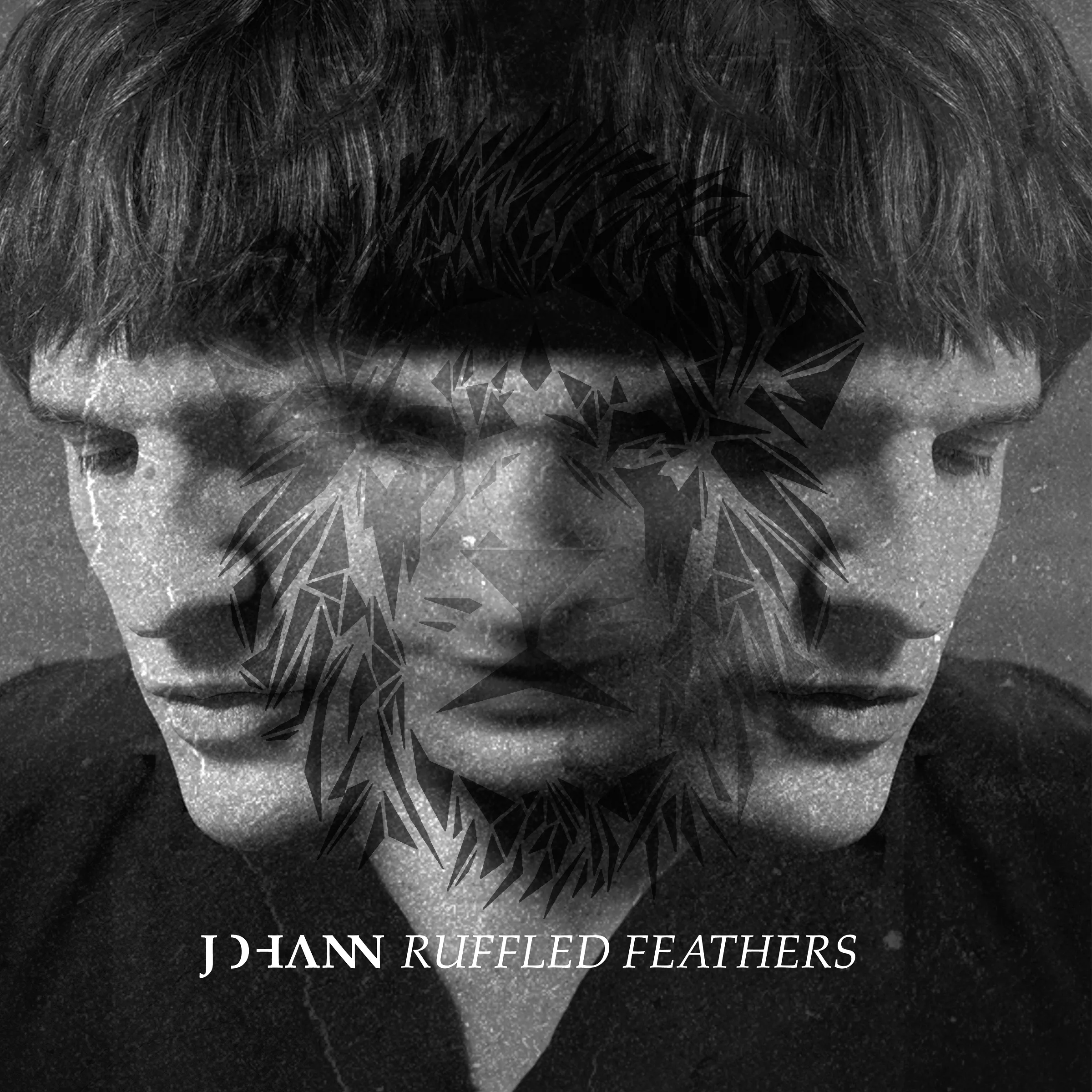 Ruffled Feathers - Johann 