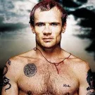 Flea mister hus