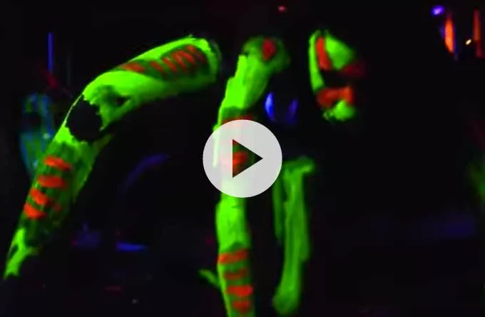 Slipknot lancerer uhyggelig temapark – se video