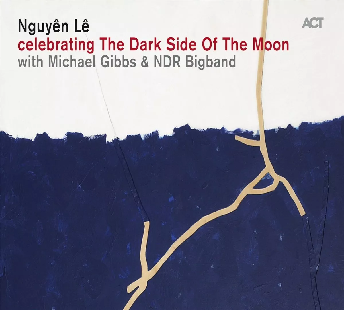 Celebrating The Dark Side Of The Moon - Nguyên Lê with Michael Gibbs & NDR Bigband