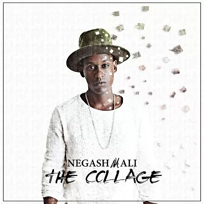 The Collage - Negash Ali