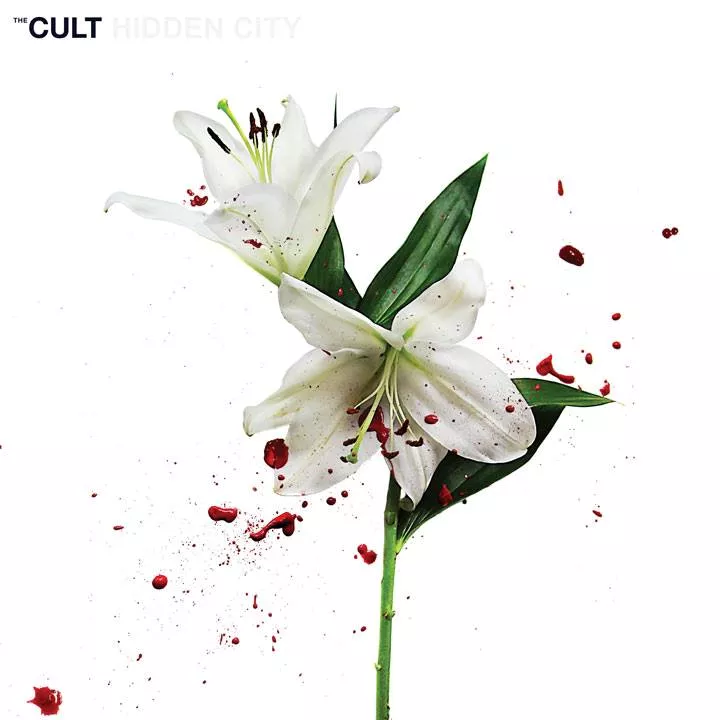 Hidden City - The Cult