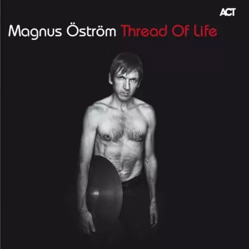 Thread Of Life - Magnus Öström