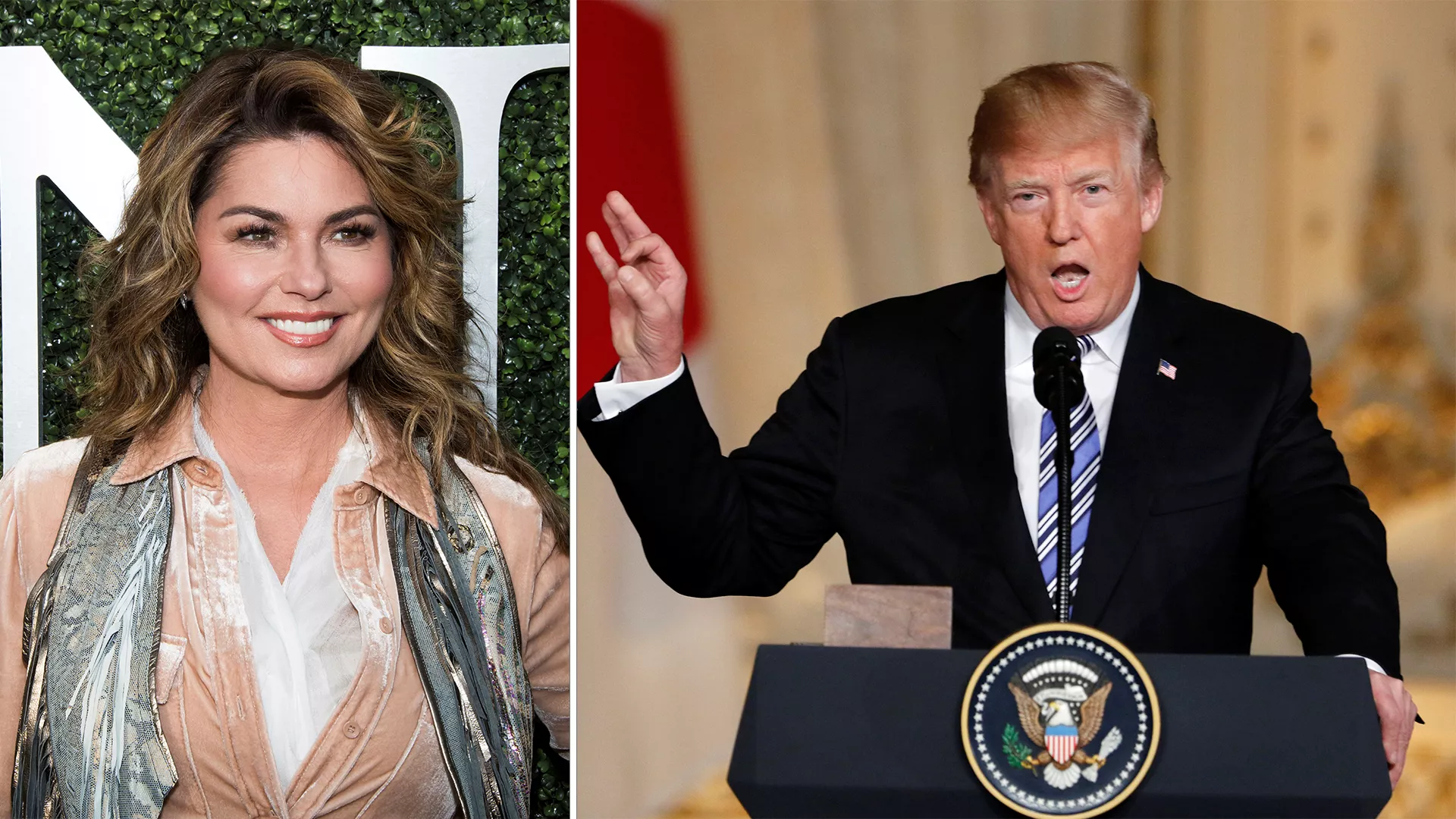 Shania Twain beklager kontroversiell Trump-kommentar