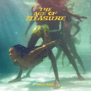 The Art of Pleasure - Janelle Monáe