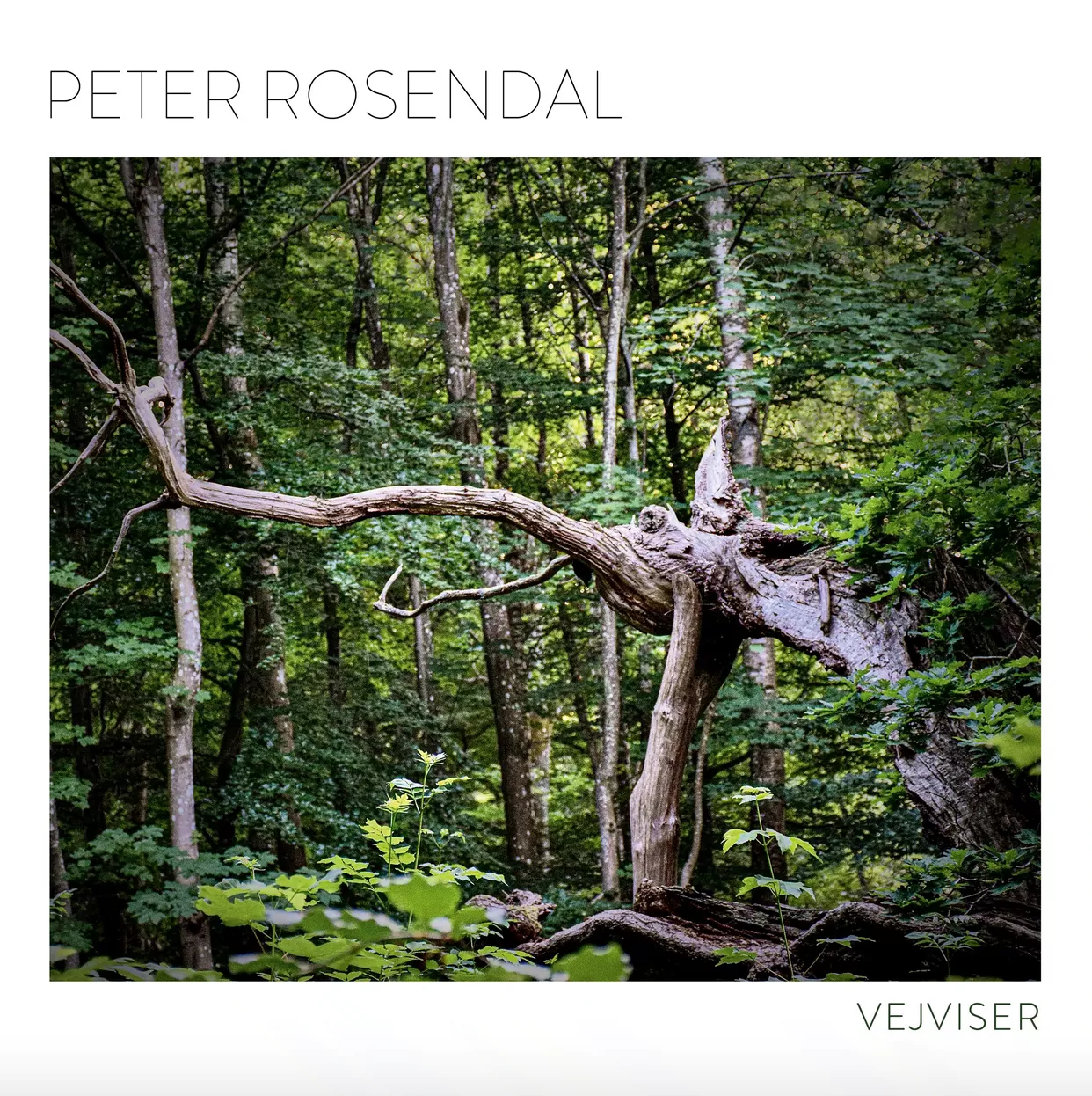 Vejviser - Peter Rosendal
