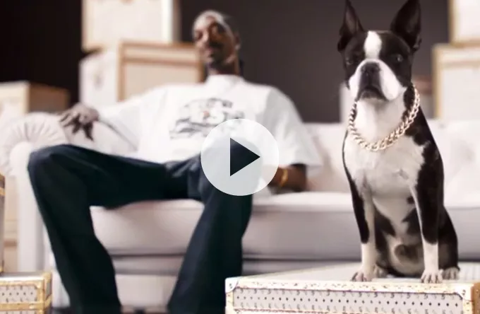 Se Snoop Dogg med hund i dansk tv-reklame