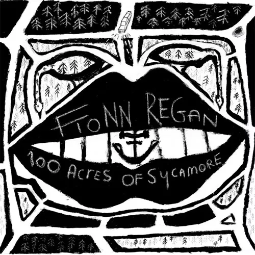 100 Acres Of Sycamore - Fionn Regan
