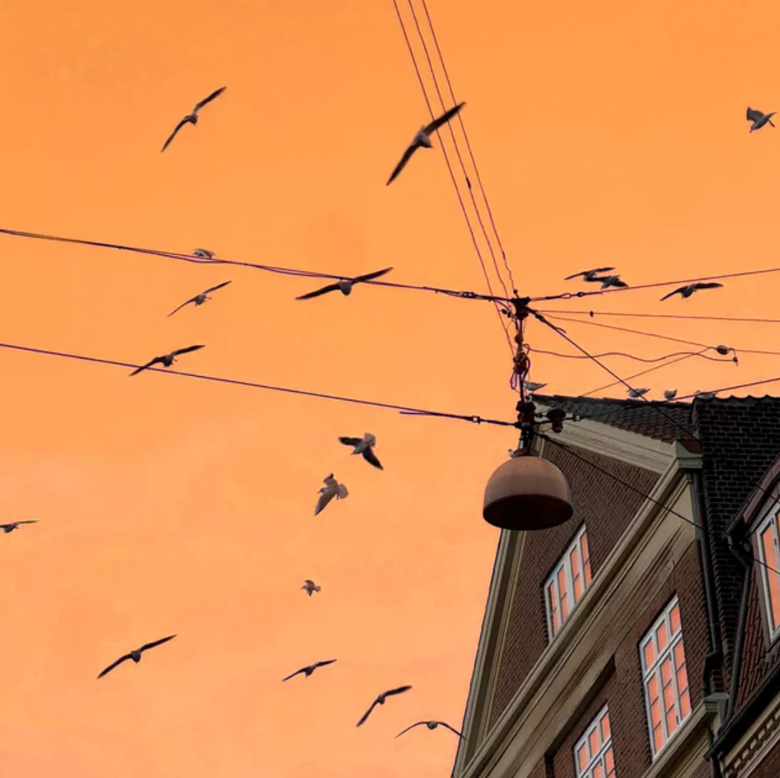 Empty Streets - Mira Siegel