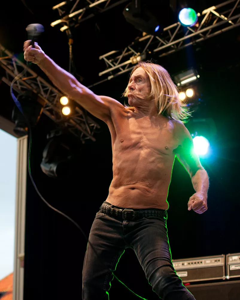 Hør nyt nummer fra Iggy and the Stooges